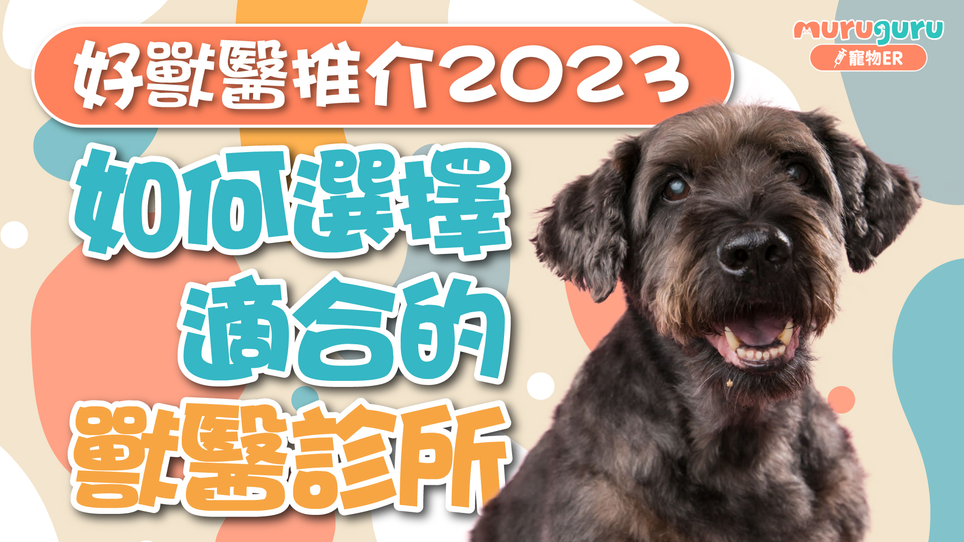 好獸醫推介：如何選擇適合的獸醫診所