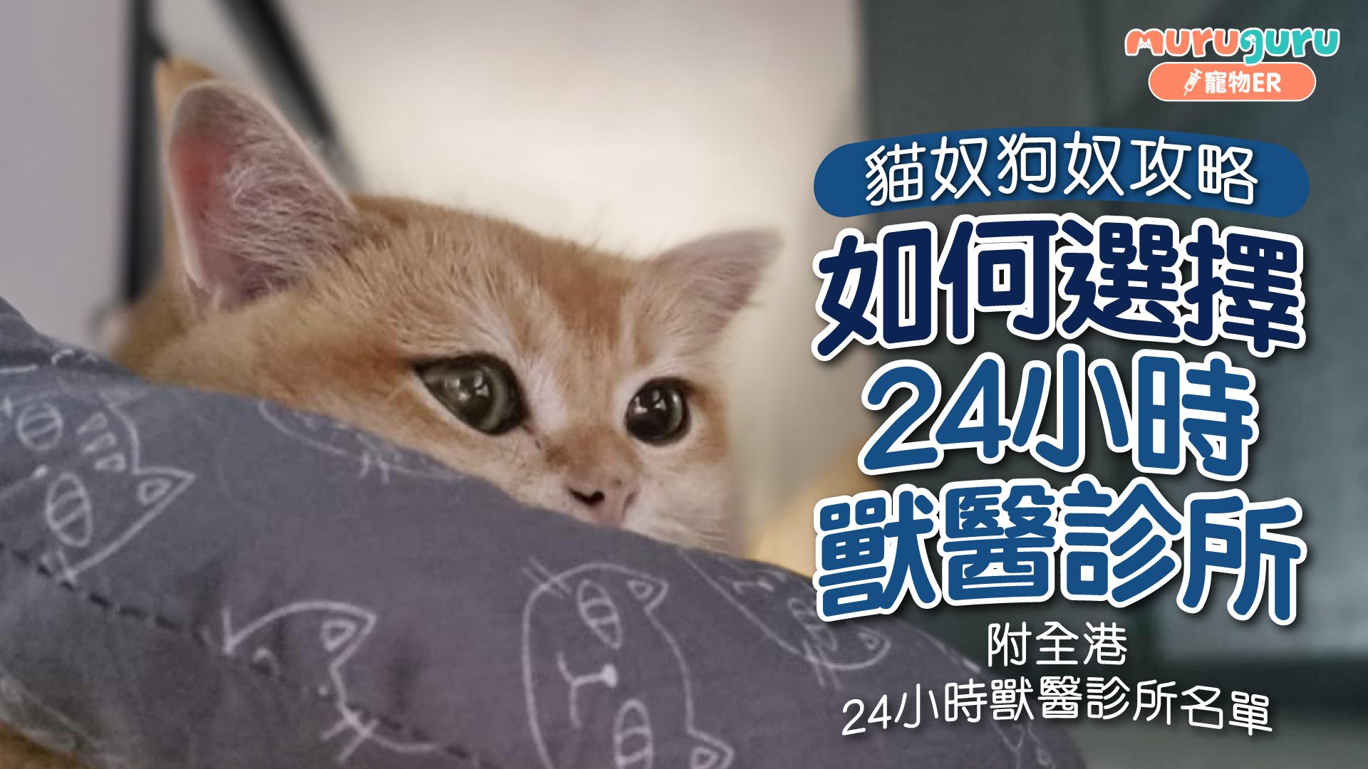 24小時獸醫診所