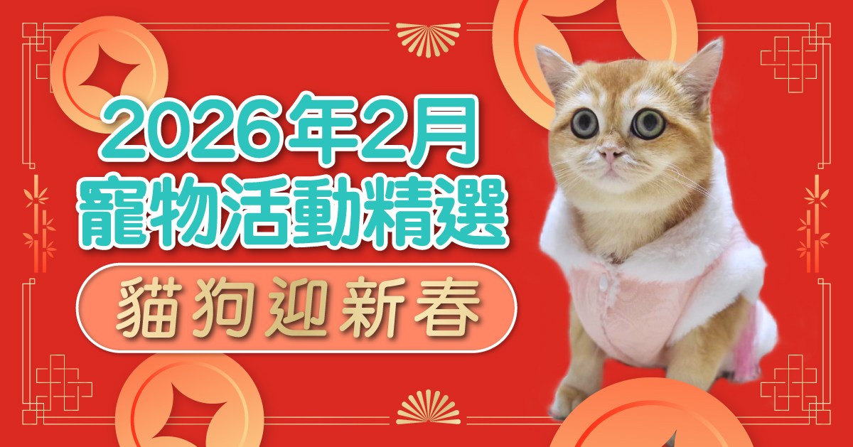 muruguru2026_blog thumbnail12-1_1200x628