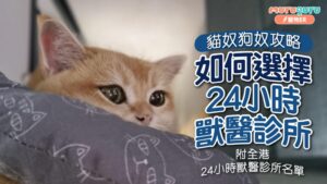 24 小時獸醫診所推介｜全港寵物診所及醫院名單