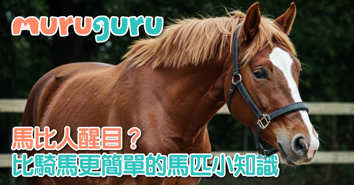 馬比人醒目？比騎馬更簡單的馬匹小知識