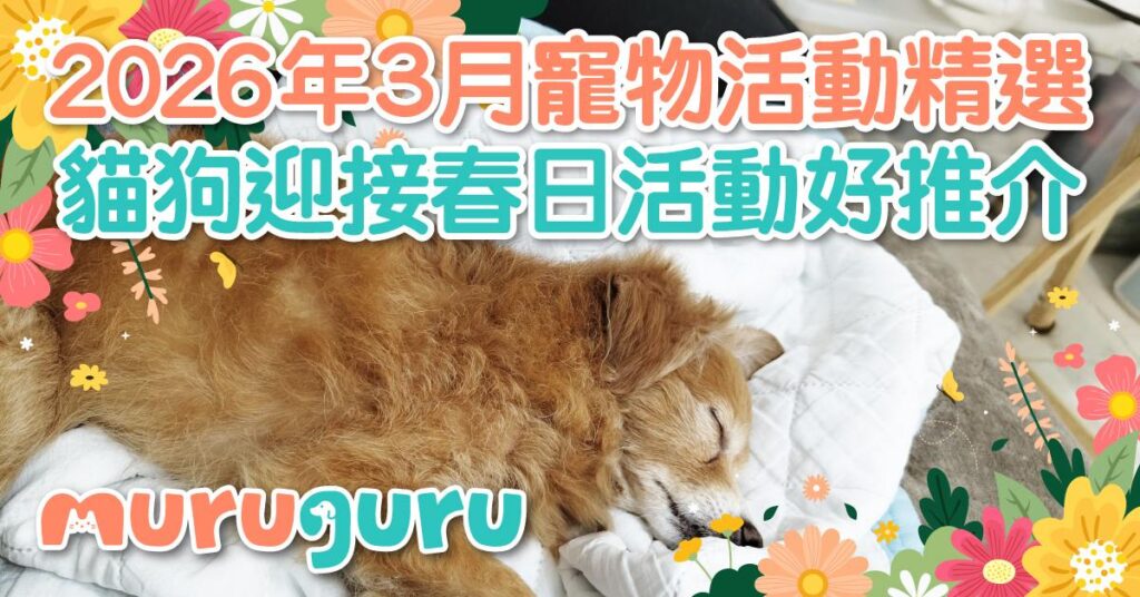 2026 年 3 月 寵物好去處精選