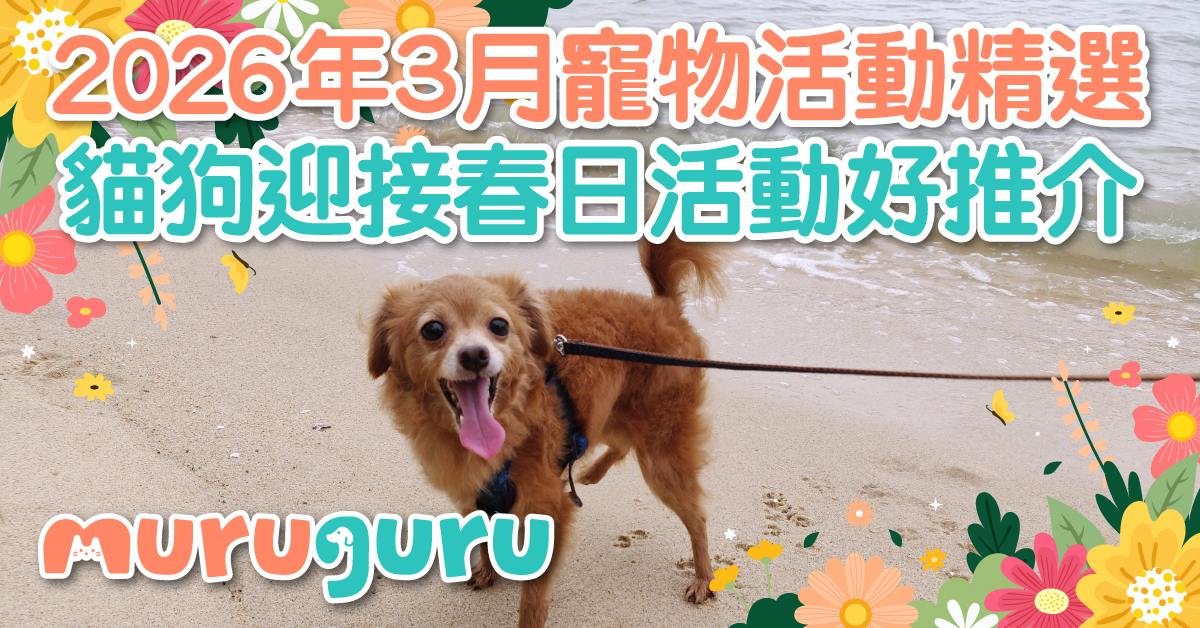 muruguru2026_blog thumbnail15-2