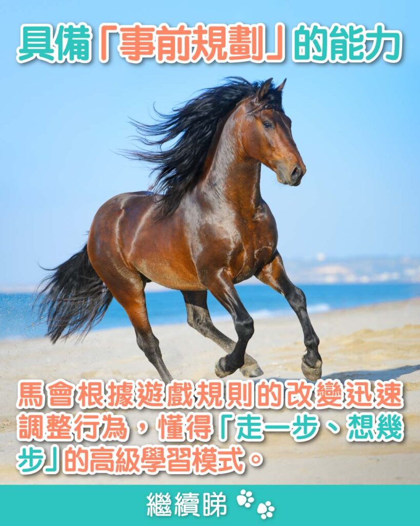 馬具備「事前規劃」的能力