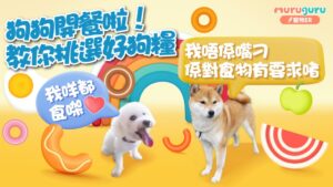 香港最受歡迎狗糧推薦：狗狗開餐啦！教你挑選好狗糧！