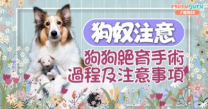 狗絕育適合年齡、手術過程、術後護理及注意事項－狗奴注意