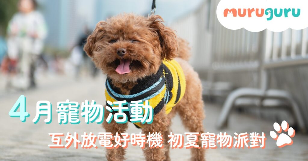2026 年 4 月 寵物好去處精選