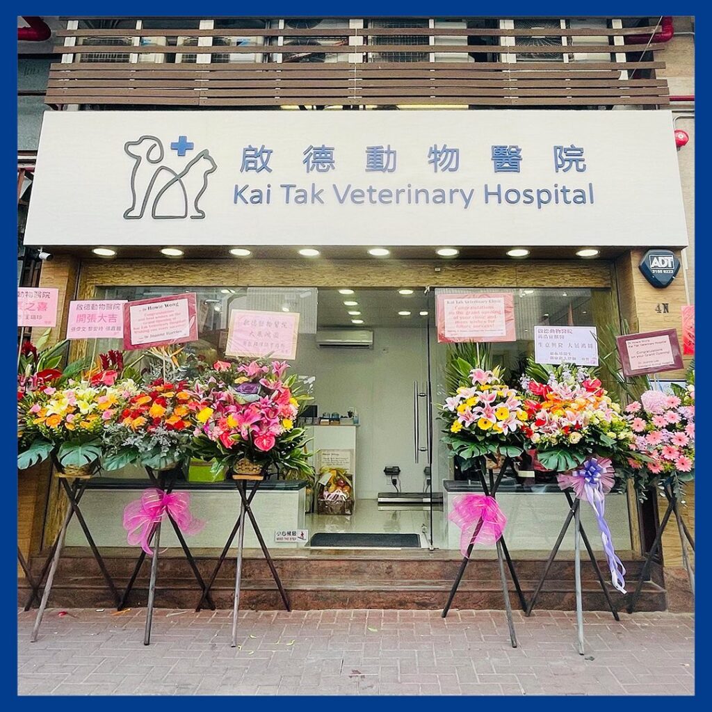 啟德動物醫院(Kai Tak Veterinary Hospital)
