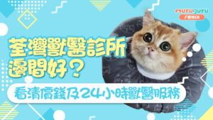 荃灣獸醫診所邊間好？看清價錢及24小時獸醫診所或寵物醫院服務