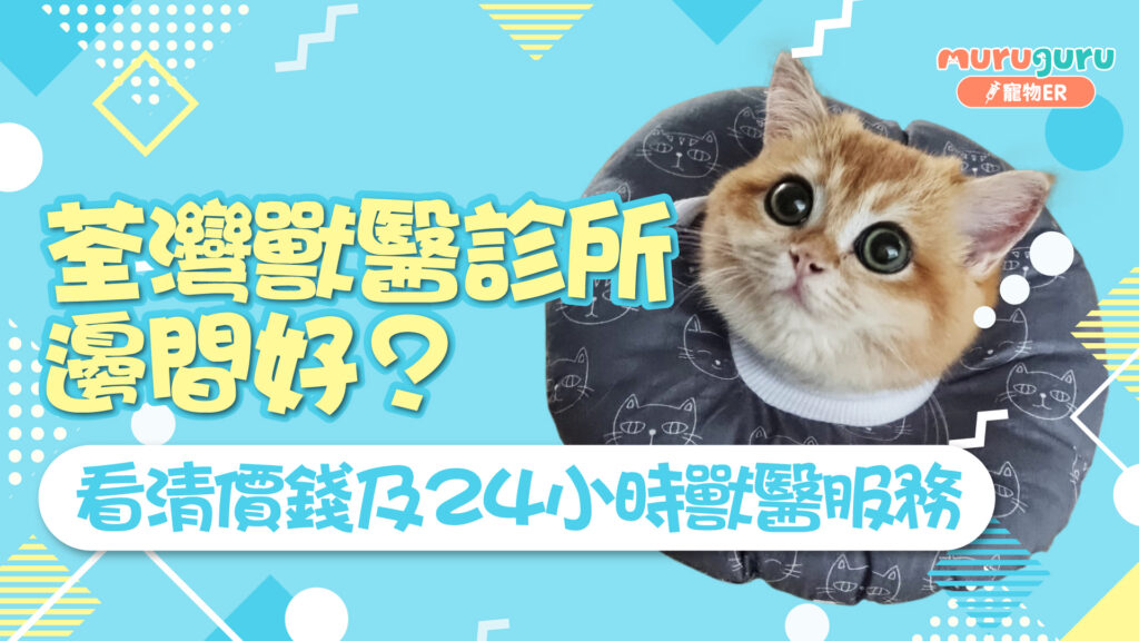 荃灣獸醫診所邊間好？看清價錢及24小時獸醫診所或寵物醫院服務