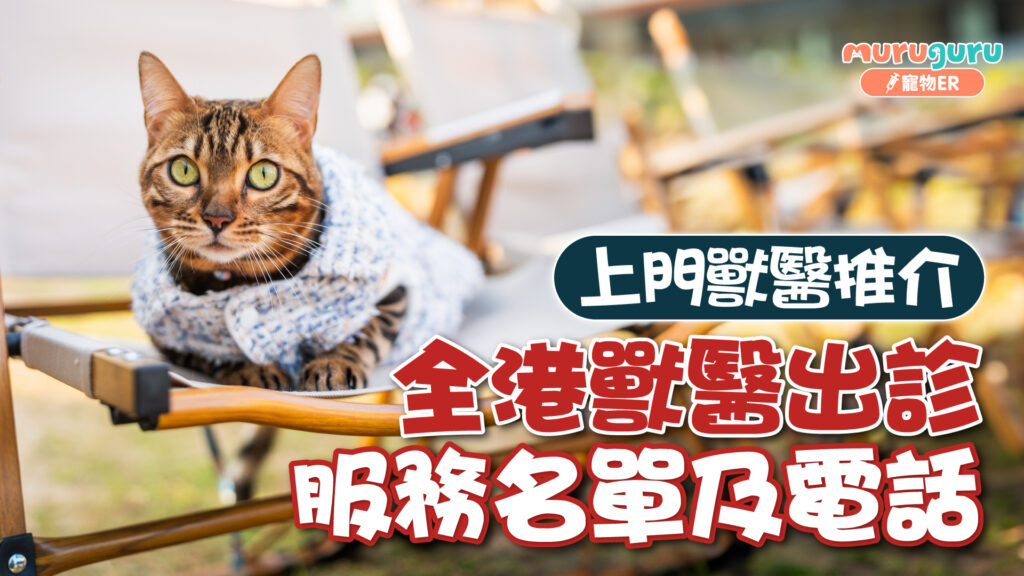 上門獸醫推介：全港獸醫出診服務名單及電話（附24小時獸醫診所）