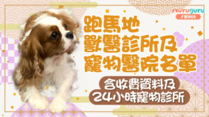 跑馬地獸醫診所及寵物醫院名單 – 含收費資料及24小時寵物診所