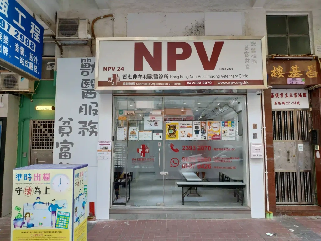 香港非牟利獸醫診所 Hong Kong Non-Profit Making Veterinary Clinic