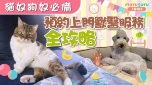 上門獸醫服務預約全攻略,附名單推薦(附收費及服務時間)