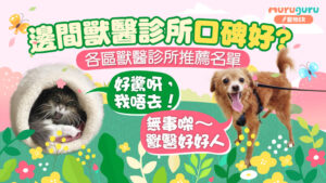 獸醫診所、動物醫院邊間口碑好? 香港島、九龍、新界區推薦名單