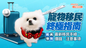 寵物移民終極指南|最新移民手續、價錢、注意事項 – 英美澳加