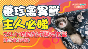 珍禽異獸醫院或 24 小時診所名單,附收費及評價主人必睇