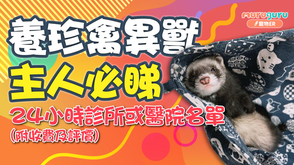 珍禽異獸醫院或 24 小時診所名單,附收費及評價主人必睇