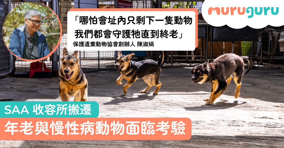 20260402-1200x628-v3