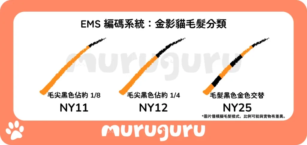 EMD 編碼系統：金影貓毛髮分類