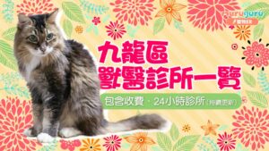 九龍區獸醫診所一覽｜包含收費、24小時診所（持續更新）