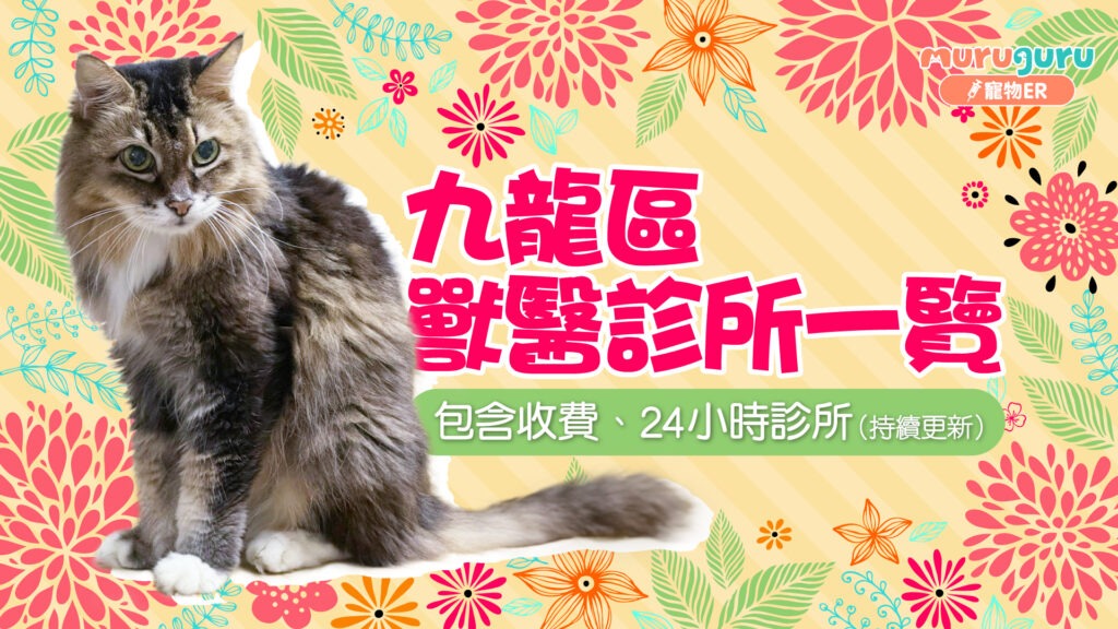 九龍區獸醫診所一覽｜包含收費、24小時診所（持續更新）