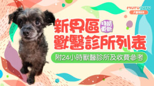 持續更新 | 新界區獸醫診所列表（附24小時獸醫診所及收費參考）