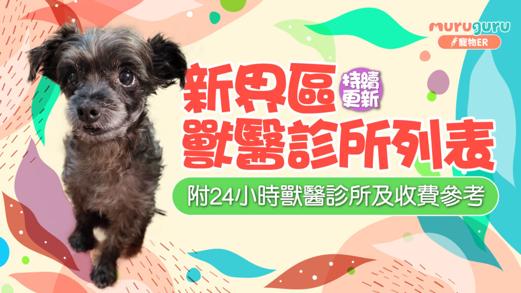 持續更新 | 新界區獸醫診所列表（附24小時獸醫診所及收費參考）
