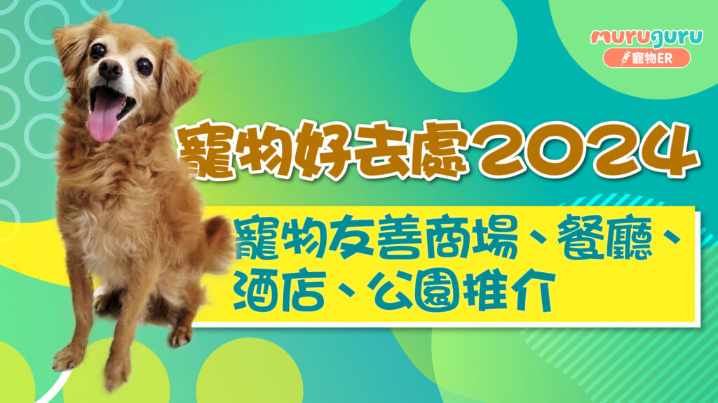 寵物好去處｜寵物友善商場、餐廳、酒店、公園推介