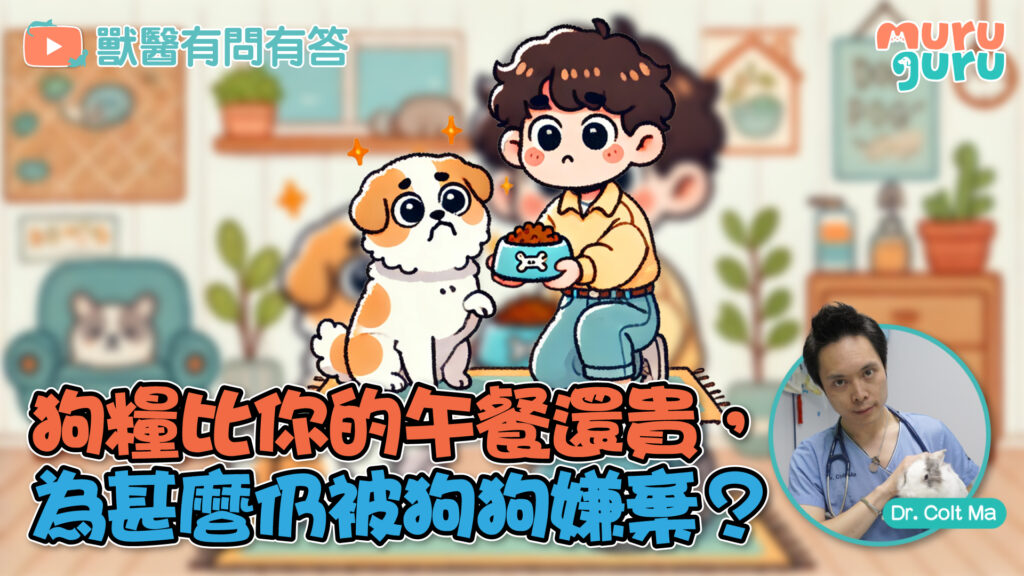 狗糧比你的午餐還貴，為甚麼仍被狗狗嫌棄？｜獸醫專訪：馬啟豪醫生 Dr. Colt Ma