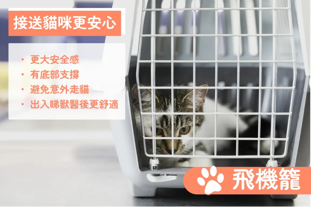 接貓當天使用建議結構堅固的外出籠（如飛機籠或硬殼貓袋），避免使用軟布袋或頂部無支撐的提袋，以免貓咪因驚惶掙扎而逃脫。