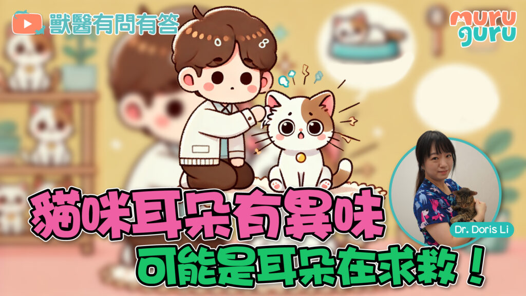 貓咪耳朵有異味？可能是耳朵在求救 | 獸醫專訪：李祉君醫生 Dr. Doris Li