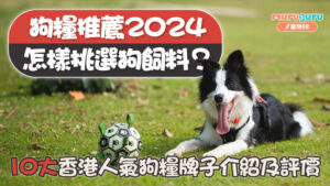 狗糧推薦｜怎樣挑選狗飼料？10 大香港人氣狗糧牌子介紹及評價