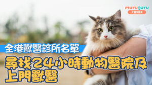 全港獸醫診所名單｜尋找24小時動物醫院及上門獸醫