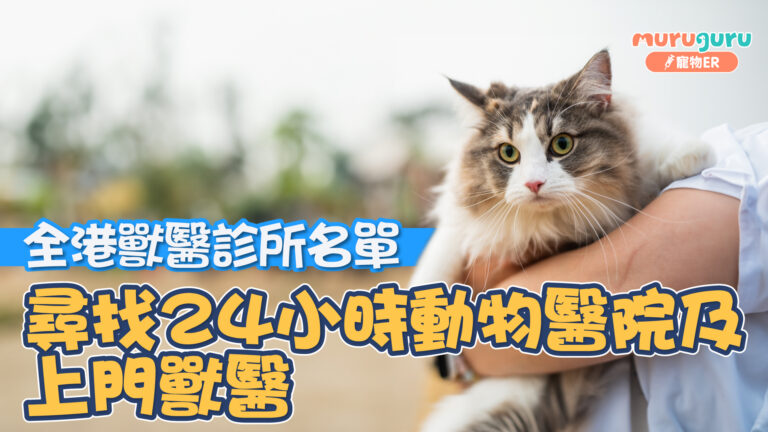 全港獸醫診所名單｜尋找24小時動物醫院及上門獸醫