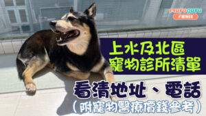 上水及北區寵物診所清單｜看清地址、電話 （附寵物醫療價錢參考）