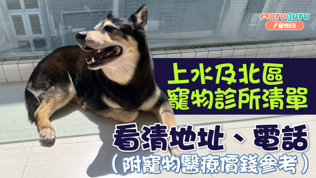 上水及北區寵物診所清單｜看清地址、電話 （附寵物醫療價錢參考）