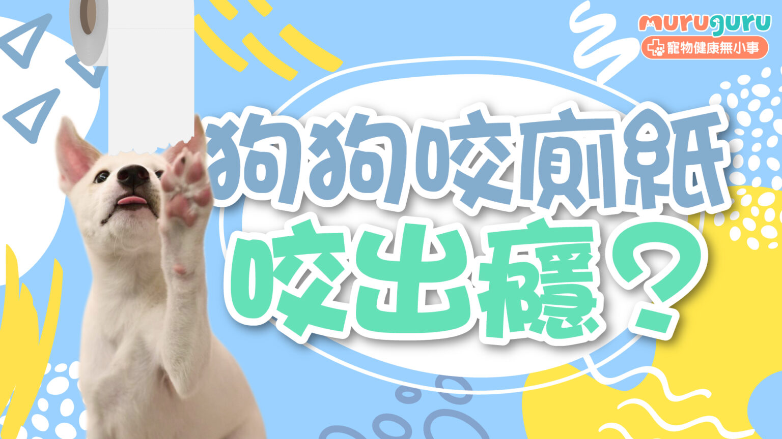 【行為心理】狗狗咬廁紙咬出癮？拆解 5 大成因與預防腸道阻塞指南