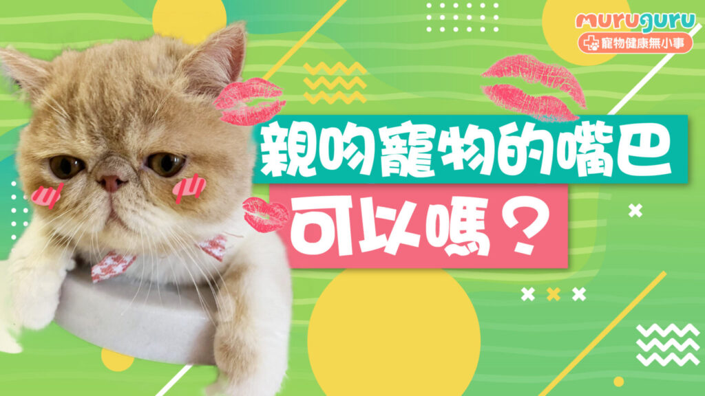 【寵物衛生】親吻寵物的嘴巴可以嗎？專家解析口腔細菌與健康風險