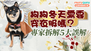 【冬季護理】狗狗冬天需要穿衣服嗎？專家拆解 5 大誤解與保暖指南