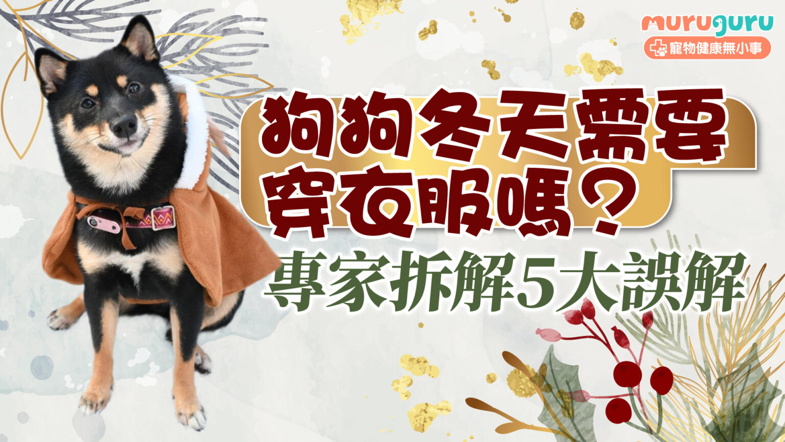 【冬季護理】狗狗冬天需要穿衣服嗎？專家拆解 5 大誤解與保暖指南