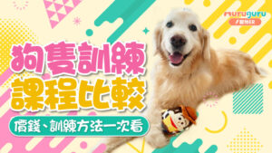 狗隻訓練課程比較：價錢、訓練方法一次看