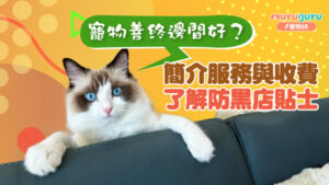 寵物善終邊間好？簡介服務與收費，了解防黑店貼士